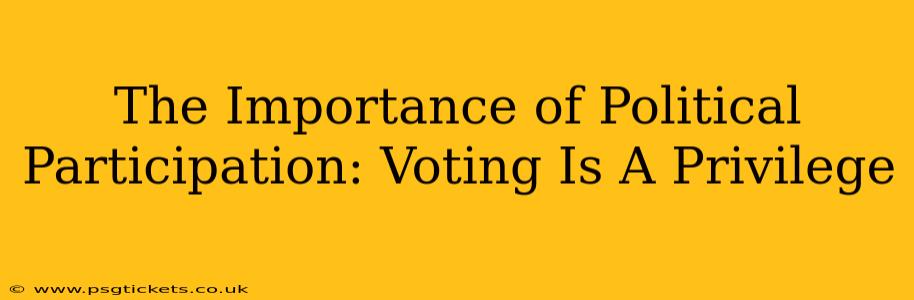 The Importance of Political Participation: Voting Is A Privilege