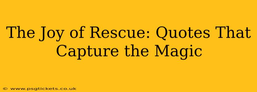 The Joy of Rescue: Quotes That Capture the Magic