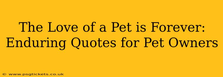 The Love of a Pet is Forever: Enduring Quotes for Pet Owners