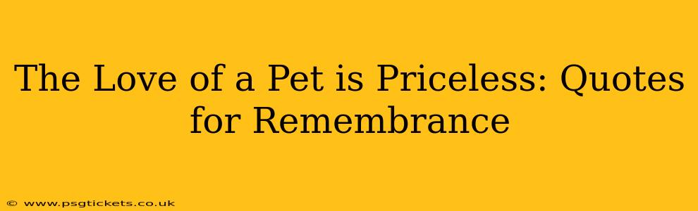 The Love of a Pet is Priceless: Quotes for Remembrance