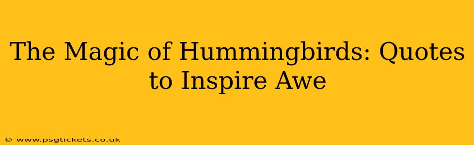The Magic of Hummingbirds: Quotes to Inspire Awe