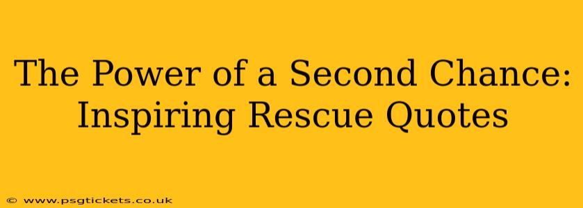 The Power of a Second Chance: Inspiring Rescue Quotes