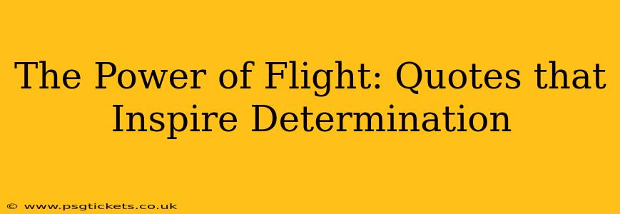 The Power of Flight: Quotes that Inspire Determination