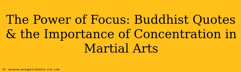 The Power of Focus: Buddhist Quotes & the Importance of Concentration in Martial Arts