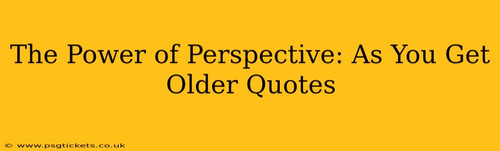 The Power of Perspective: As You Get Older Quotes