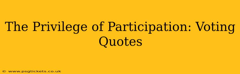 The Privilege of Participation: Voting Quotes