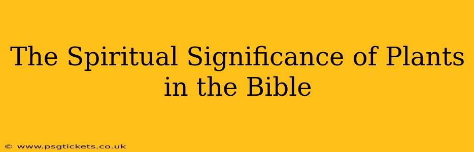 The Spiritual Significance of Plants in the Bible
