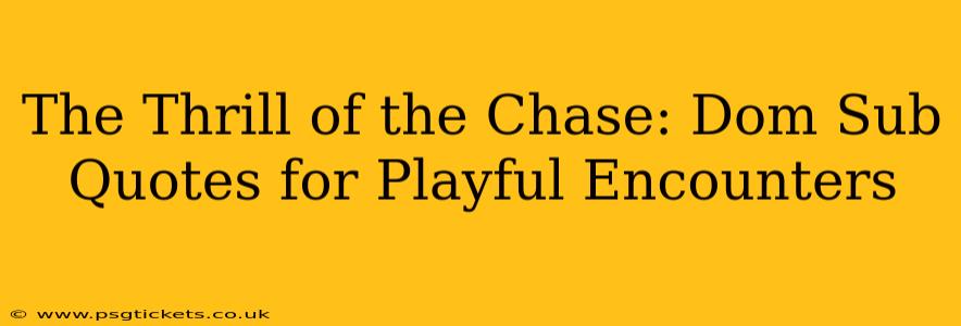 The Thrill of the Chase: Dom Sub Quotes for Playful Encounters