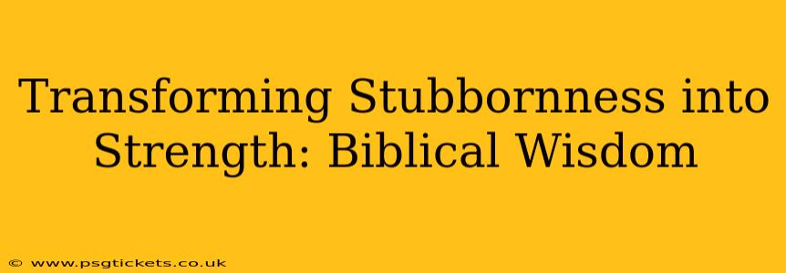 Transforming Stubbornness into Strength: Biblical Wisdom