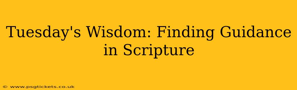 Tuesday's Wisdom: Finding Guidance in Scripture