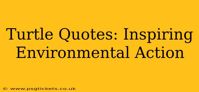 Turtle Quotes: Inspiring Environmental Action