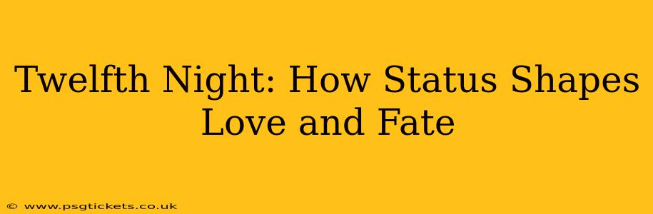 Twelfth Night: How Status Shapes Love and Fate