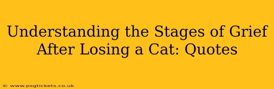 Understanding the Stages of Grief After Losing a Cat: Quotes