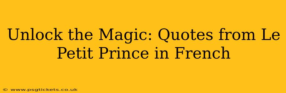 Unlock the Magic: Quotes from Le Petit Prince in French