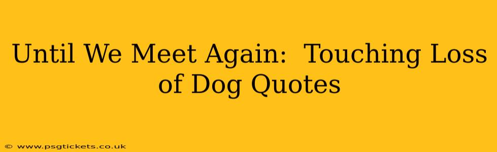 Until We Meet Again:  Touching Loss of Dog Quotes