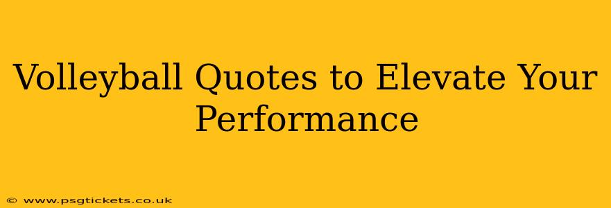 Volleyball Quotes to Elevate Your Performance