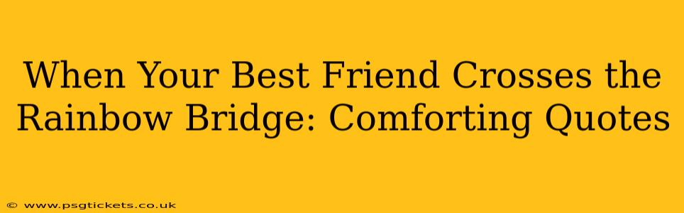 When Your Best Friend Crosses the Rainbow Bridge: Comforting Quotes