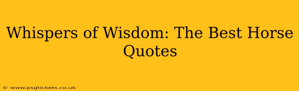 Whispers of Wisdom: The Best Horse Quotes