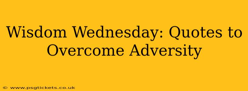 Wisdom Wednesday: Quotes to Overcome Adversity