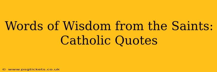 Words of Wisdom from the Saints: Catholic Quotes